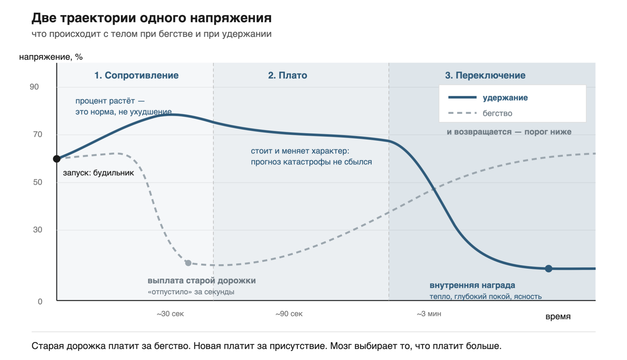 Иллюстрация к книге «Архитектура нейронных путей 2.0»