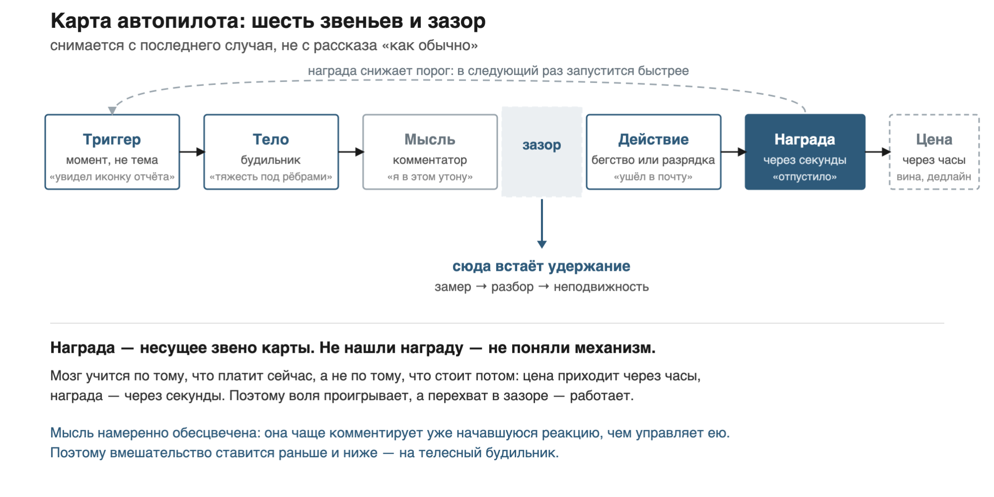 Иллюстрация к книге «Архитектура нейронных путей 2.0»