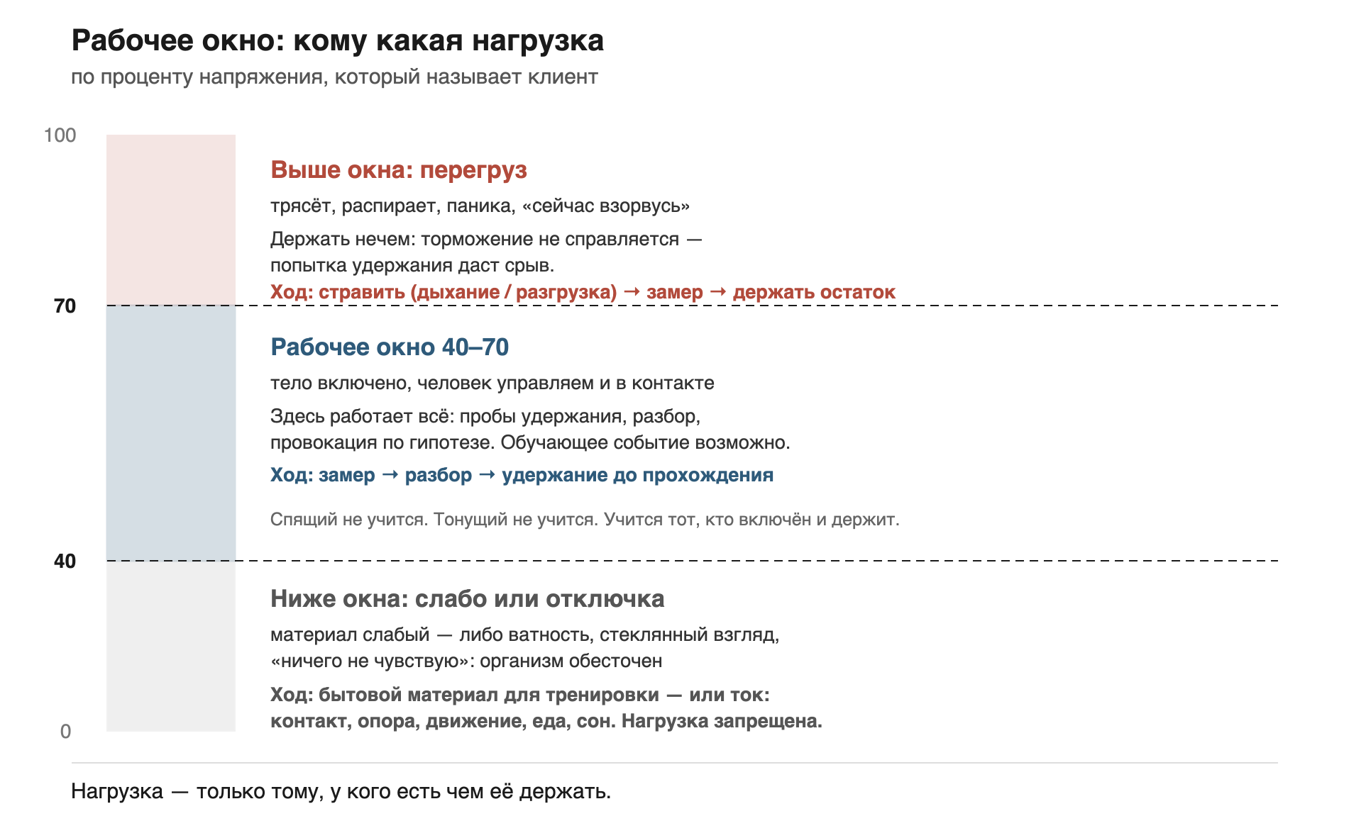 Иллюстрация к книге «Архитектура нейронных путей 2.0»